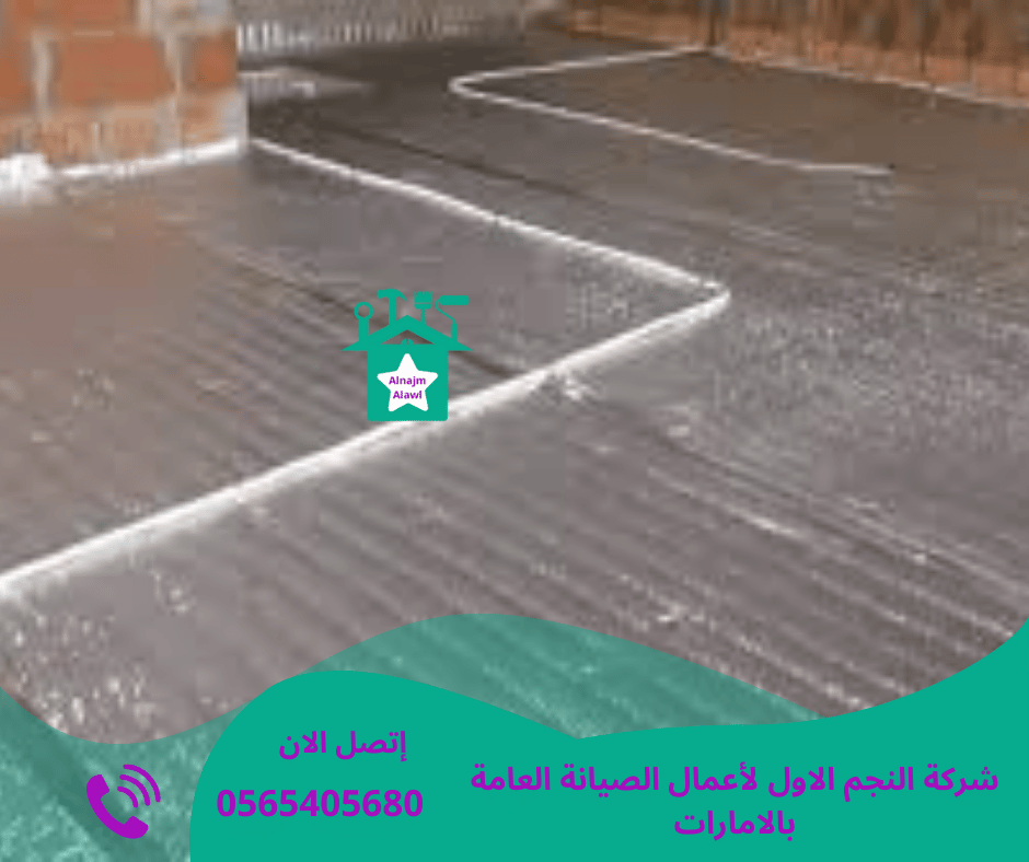 شركة عزل أسطح في العين